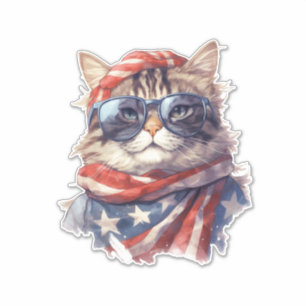 American flag patriotic 4th July independence day