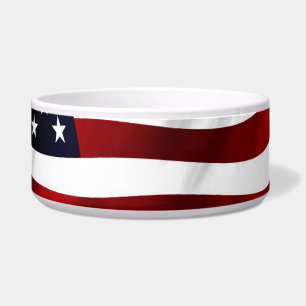 American Flag Patriotic Independence Day