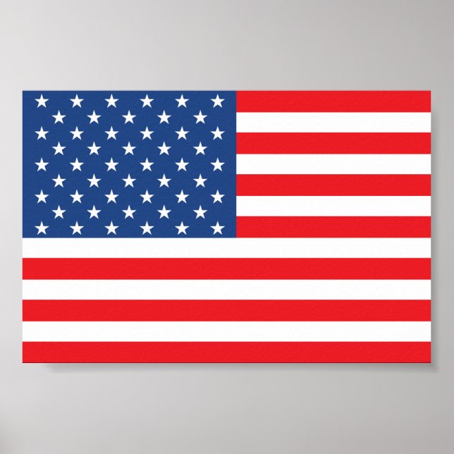 American Flag Poster (Front)