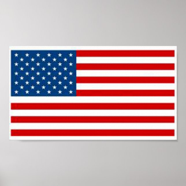 American Flag Poster (Front)