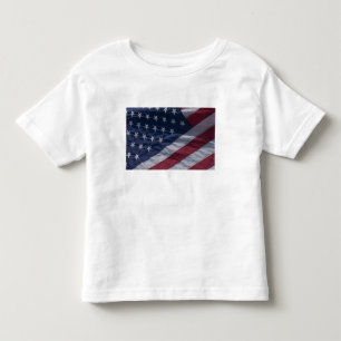 American flag. toddler T-Shirt