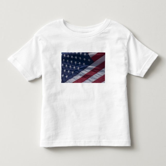 American flag. toddler T-Shirt (Front)