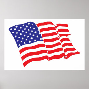 American-Flag/USA Poster