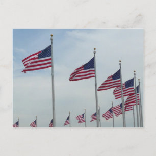 American Flags at the Washington Monument Postcard