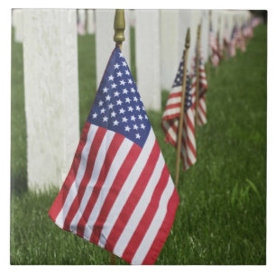 American flags on tombs of American Veterans on 2 Tile