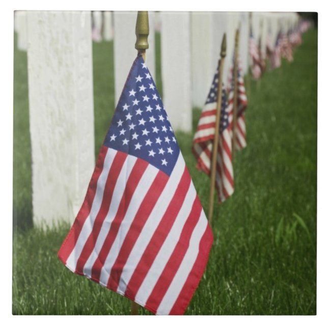 American flags on tombs of American Veterans on 2 Tile (Front)