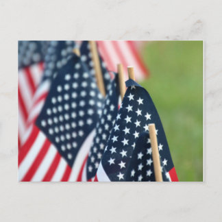 American Flags Postcard