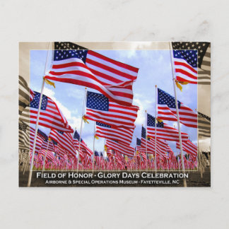 American Flags Postcard