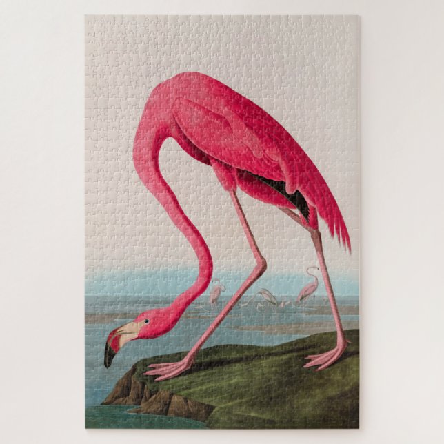 American Flamingo Birds of America Audubon Print Jigsaw Puzzle (Vertical)