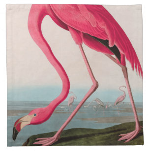 American Flamingo Birds of America Audubon Print Napkin