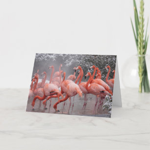 American Flamingo Card