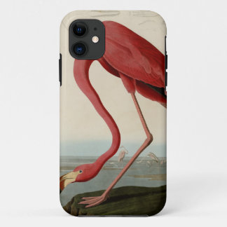 American Flamingo iPhone 11 Case