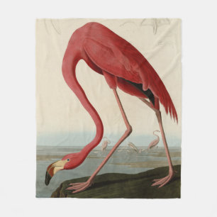 American Flamingo from Audubon's Birds of America Fleece Blanket