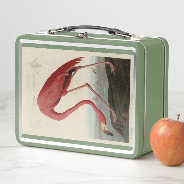 American Flamingo from Audubon's Birds of America Metal Lunch Box (In Situ)