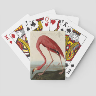 American Flamingo from Audubon's Birds of America Playing Cards
