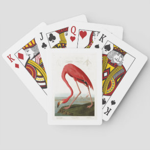 American Flamingo John Audubon Birds of America Playing Cards