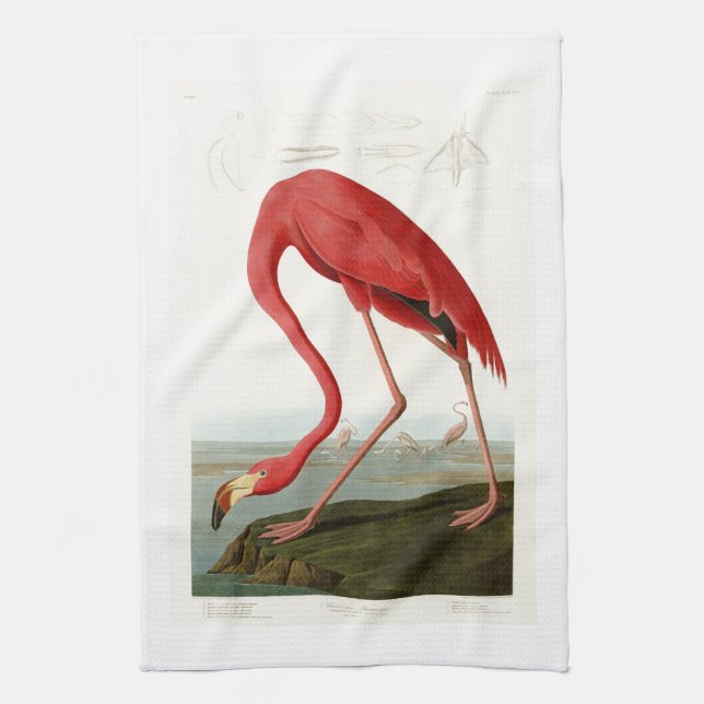 American Flamingo John Audubon Birds of America Tea Towel (Vertical)