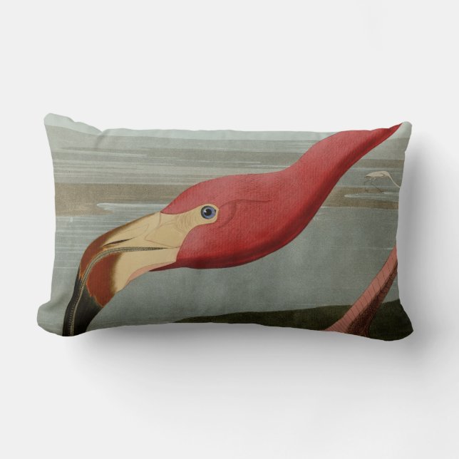 American Flamingo Lumbar Cushion (Front)