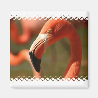 American Flamingo Square Magnet