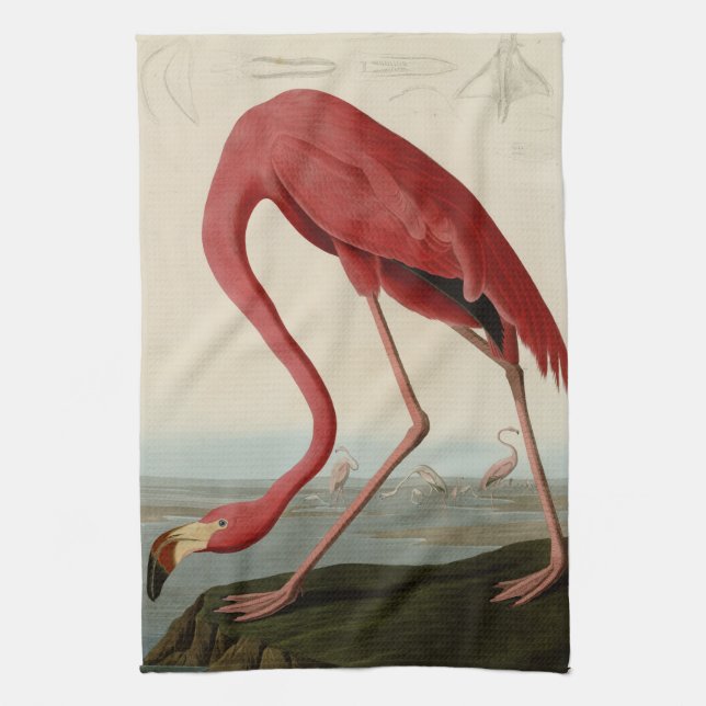American Flamingo Tea Towel (Vertical)