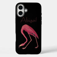 American Flamingo Vintage Audubon Birds of America