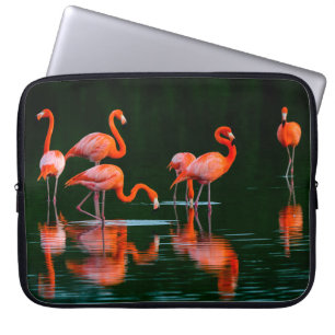 American flamingos with Reflections Resting and Fo Laptop Sleeve