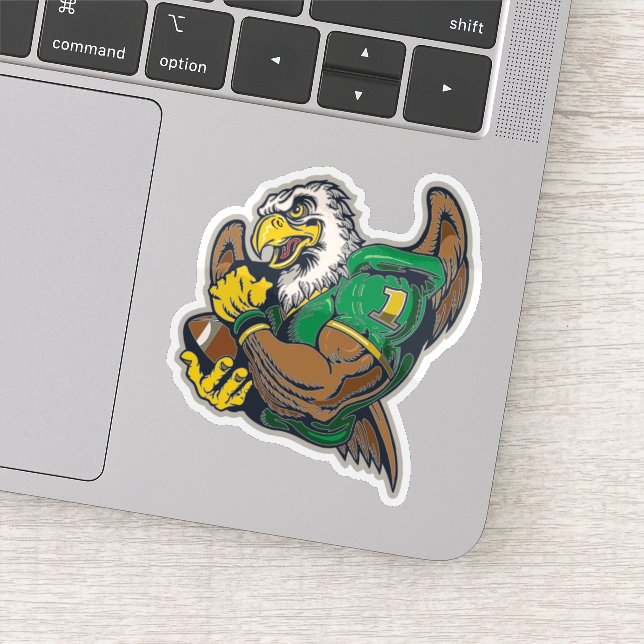 American football falcon  (Detail)