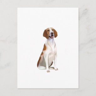 American Foxhound (A) Postcard