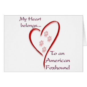 American Foxhound Heart Belongs