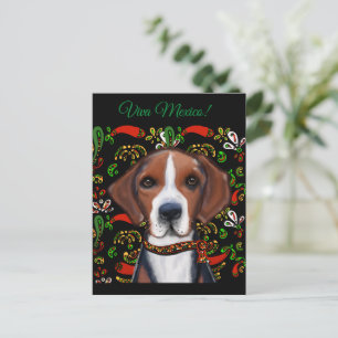 American Foxhound Postcard