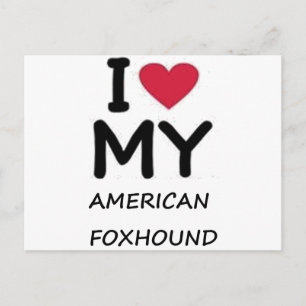 american foxhound postcard