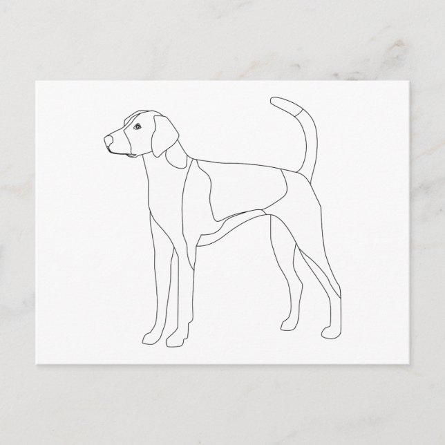 American Foxhound Ready to colour and customise Postcard (Front)