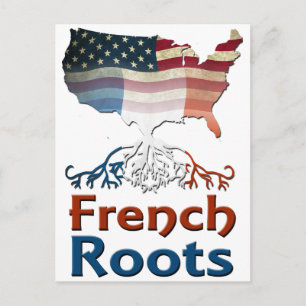 American French Roots Postcard