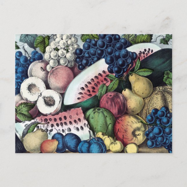 American Fruit Vintage Illustration Postcard (Front)
