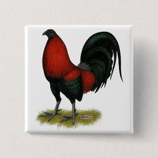 American Game BB Black Red Rooster 15 Cm Square Badge