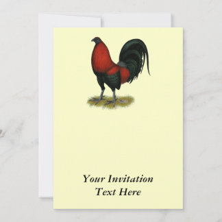 American Game BB Black Red Rooster Invitation
