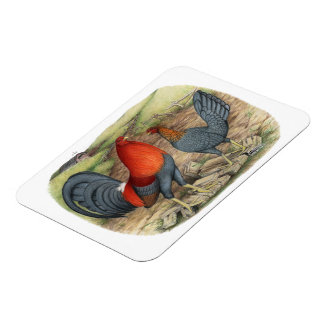 American Game Blue Reds Magnet
