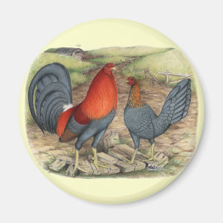 American Game Blue Reds Magnet