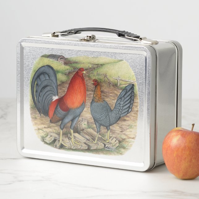 American Game Blue Reds Metal Lunch Box (In Situ)