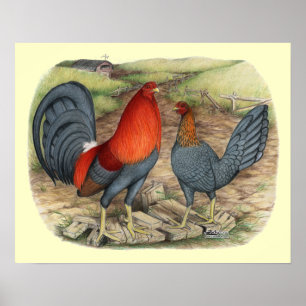 American Game Blue Reds Poster