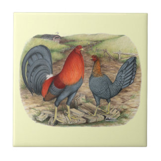American Game Blue Reds Tile