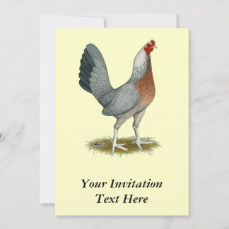 American Game Hen Silver Blue Invitation