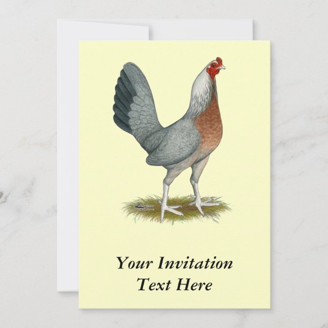 American Game Hen Silver Blue Invitation (Front)