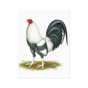 American Game Silver Blue Gamecock Canvas Print