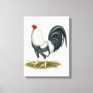 American Game Silver Blue Gamecock Canvas Print