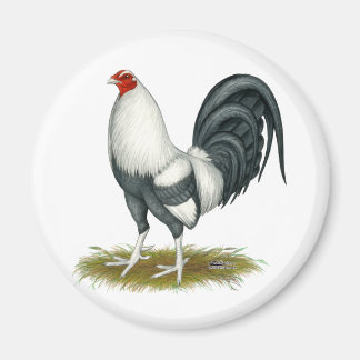American Game Silver Blue Gamecock Magnet