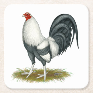 American Game Silver Blue Gamecock Square Paper Coaster