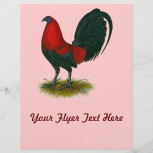 American Gamecock:  Brown Red Flyer