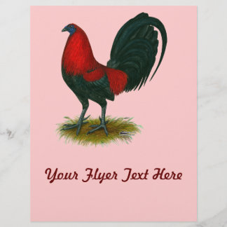 American Gamecock:  Brown Red Flyer