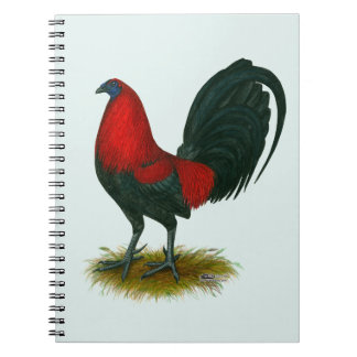 American Gamecock: Brown Red Notebook